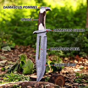Handmade Damascus Bowie knife with stag-style bone handle