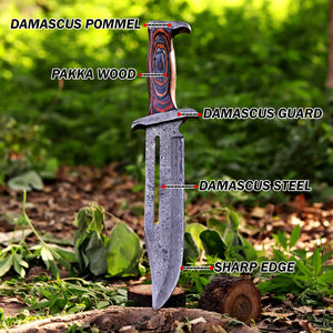 Handmade damascus Knife with infographic labels