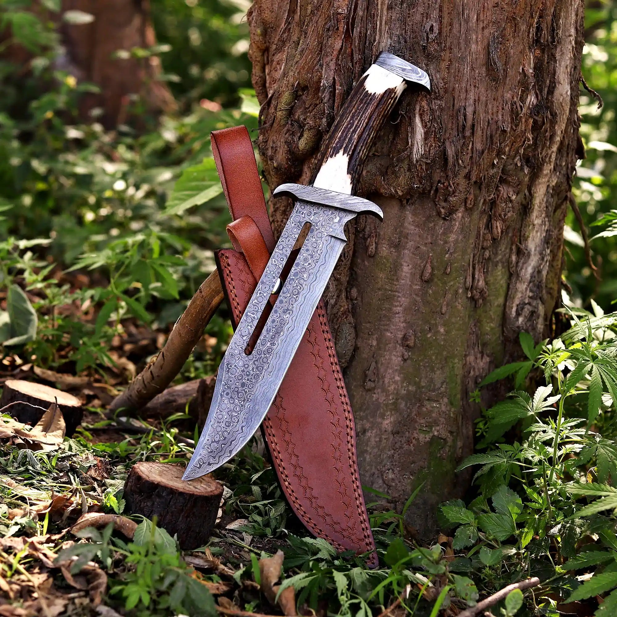 Bowie Knives