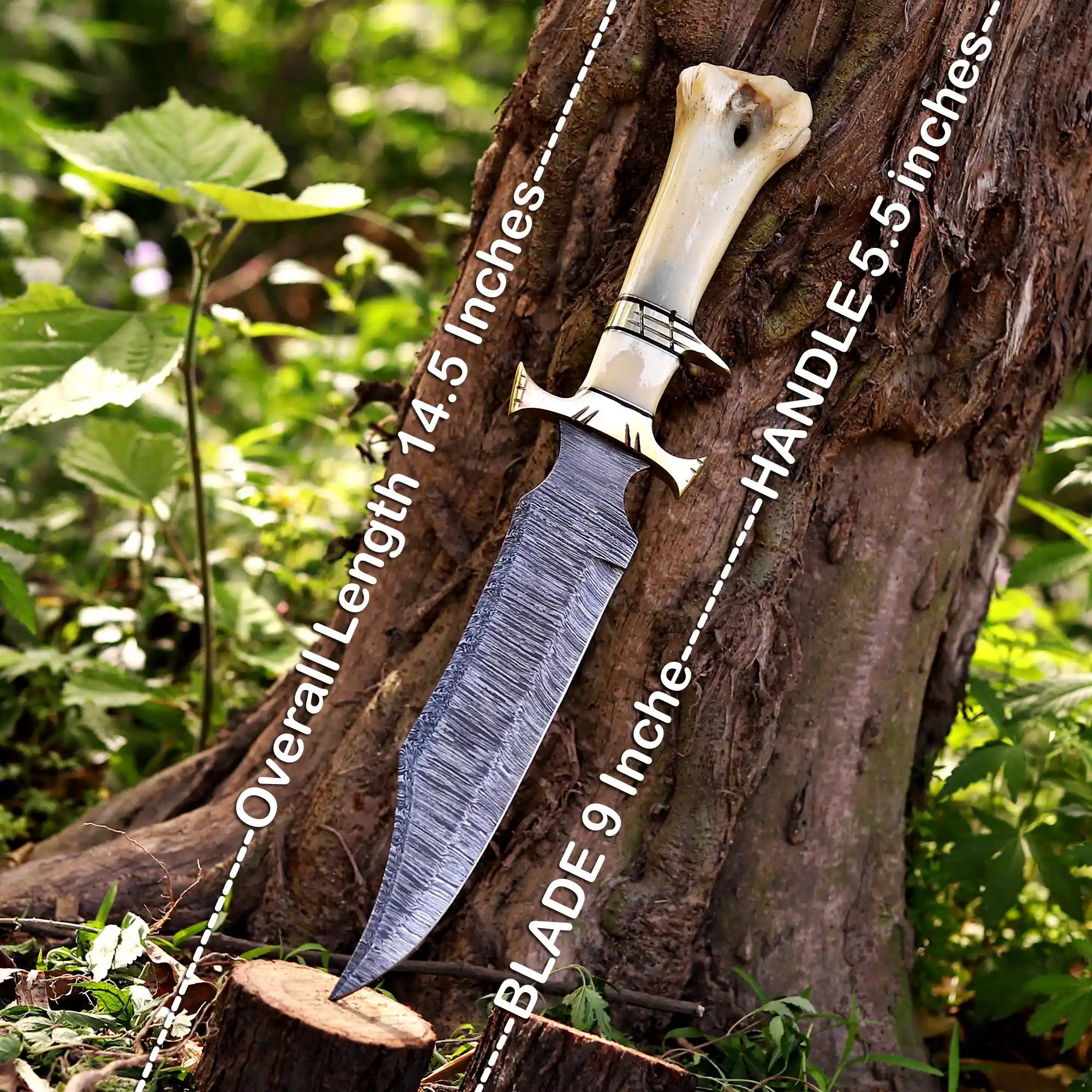 Collector Bowie knife shipped from Canada
